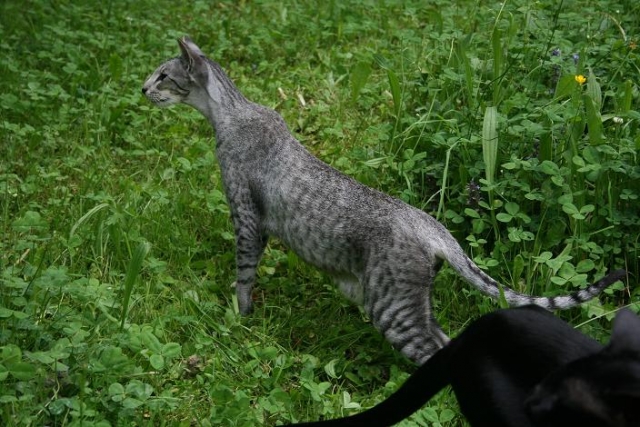 Juni2010090 1