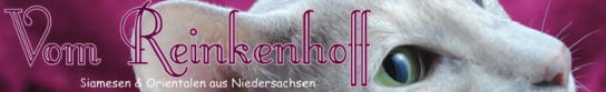 bannerreinkenhoff